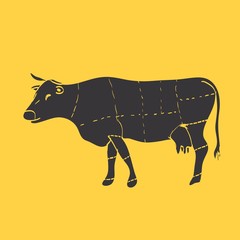 Cuts of beef vector illustration