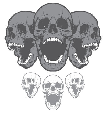 Skulls. Design elements