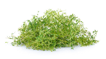 thyme on white background