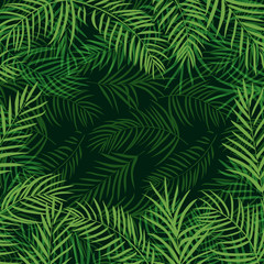 frame tropical palm leaf