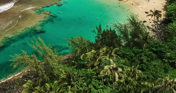 Aerial view flying over coconut palm trees revealing tropical blue lagoon and white sandy beach. Na Pali Coast, Kauai