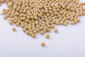 Soybean in the white background