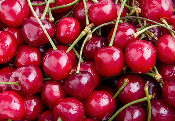 Cherries for fruit background