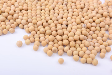 Soybean in the white background