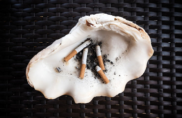 Natural ashtray made of shell, on weave table