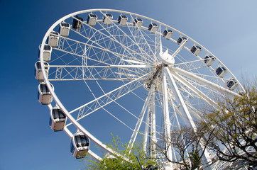 Ferris wheel in Cape Town