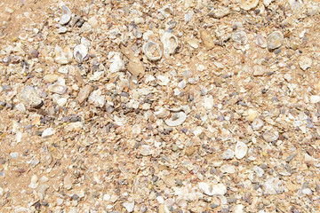 Sand texture on the beach