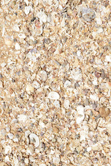 Sand texture on the beach