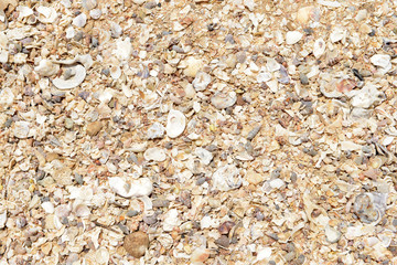 Sand texture on the beach