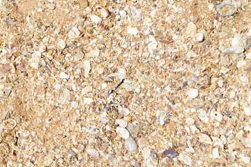 Sand texture on the beach