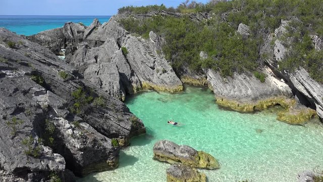 Guy swims in the  blue lagoon  with a flock of white-tailed tropicbird in a sky. Jobson Cove Bay, Bermuda. 