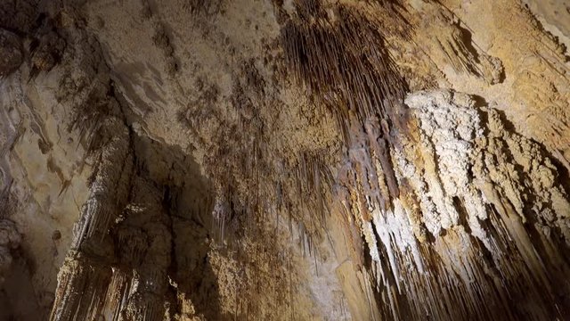 Speleothem in the Fantasy Cave, Bermuda.