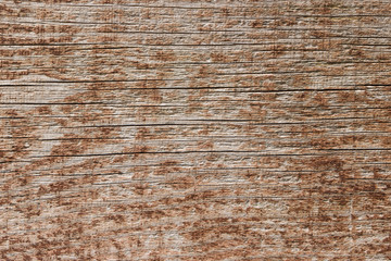 Wood texture background