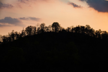 Fototapeta na wymiar Silhouettes of trees and mountain on sunset