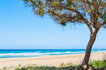 Fototapeta na wymiar Beautiful beach with blue sea, white sand and trees