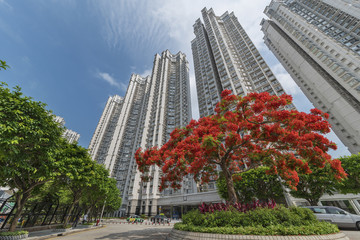 Fototapeta premium High rise residential building in Hong Kong city