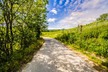 Dirt road the hills of Tuscany and Romagna Apennines