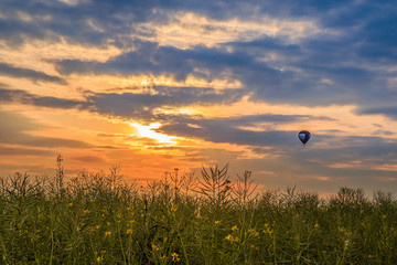 Heißluftballon bei Sonnenuntergang in Dresden