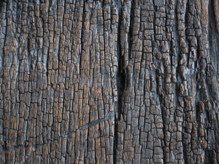 old wood Abstract background