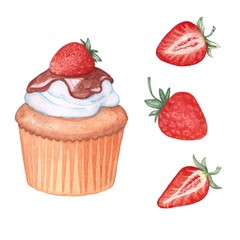 Strawberry set: muffin and 3 strawberries. Watercolor painting. Handmade drawing. Isolated on white
