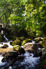 Naklejka premium 万葉公園