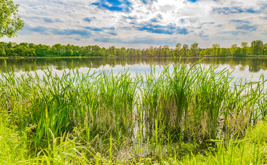Fototapeta na wymiar Anblick Landschaft See Wasser Ufer