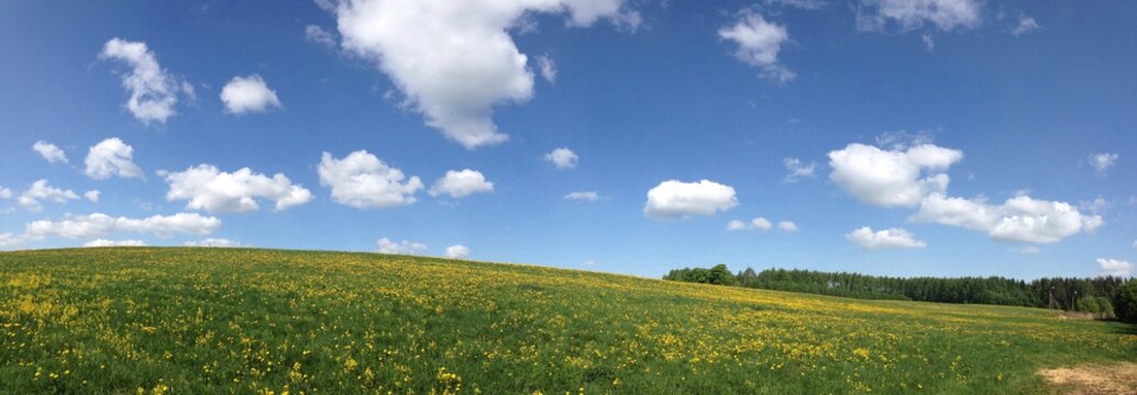 Панорамный вид зеленых холмов с цветущими желтыми одуванчиками под синим облачным небом. Окно в природу. © maestrovideo