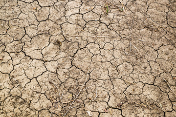 Dry land. Cracked ground background.