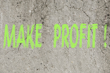 Neon green word text  make profit business concpet on a concrete background