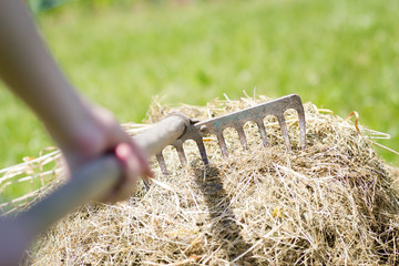 Senior / farmer hand raking a hay on huge / big meadow / field ( © Khaligo