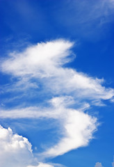 Blue sky with pattern of white cloud