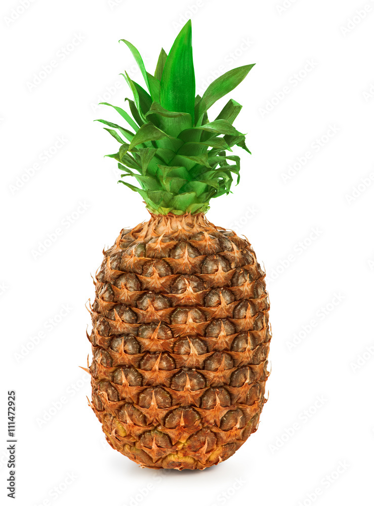 Canvas Prints ripe pineapple isolated on white background