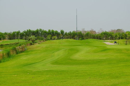 golf course fairway on sunny day,golf yard,fairway golf