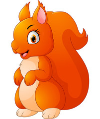 Cartoon adorable squirrel