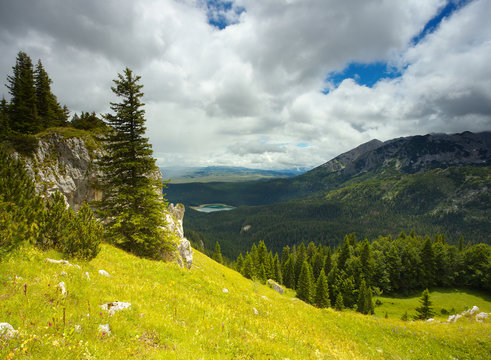 Mountain Meadow in Durmitor, Montenegro