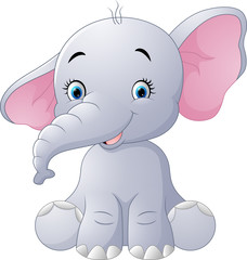 Cute baby elephant sitting isolated on white background