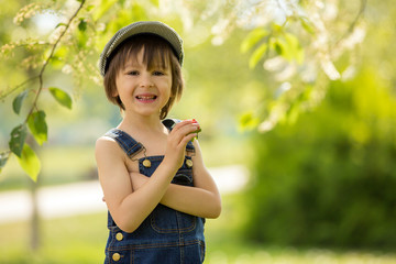 Cute beautiful child, boy, eating strawberries and in the park