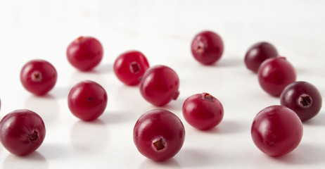 Red cranberries on the table