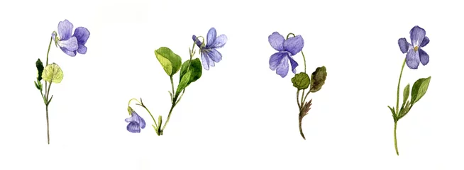 Fotobehang watercolor blue wild flowers © cat_arch_angel