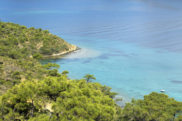 Obraz premium Deniz Ve Orman