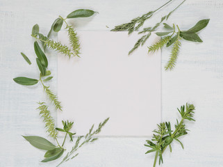 Frame with different herbs