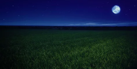 Printed roller blinds Night moonlit night in wheat field