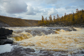 River  Moiero and Siberian taiga in the autumn