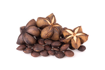 Sacha inchi peanut seed isolate on white background