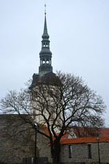 Tallinn