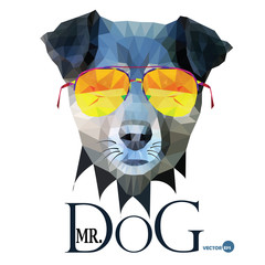 Dog Hipster man, Mr. Dog Terrier in glasses, fashion look animal illustration portrait in polygonal style, isolated on white background. Cartoon and book hero, design for print on things fabrics