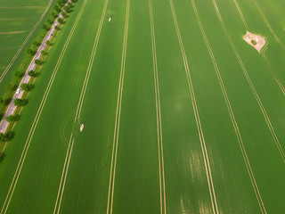 Obraz premium aerial view on a agriculture field - bird view