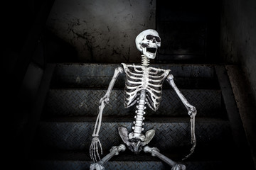 Still life, Human skeleton sitting on the stairs and laughing, in scary abandoned building.