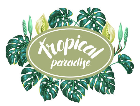 Background with monstera leaves. Decorative image of tropical foliage and flower. Design for advertising booklets, banners, flayers, cards