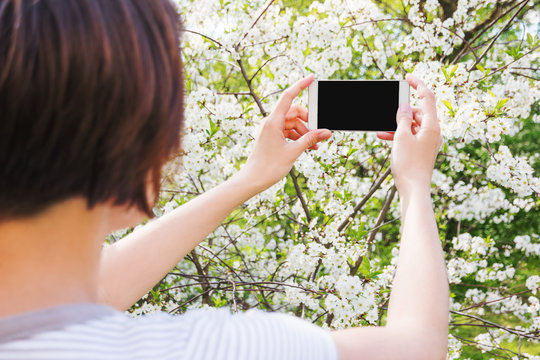 Woman takes photos of cherry blossom on a smartphone. Spring natural background, good for mock up.